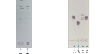 異物分析（その2：分析機器を使用しない異物分析）